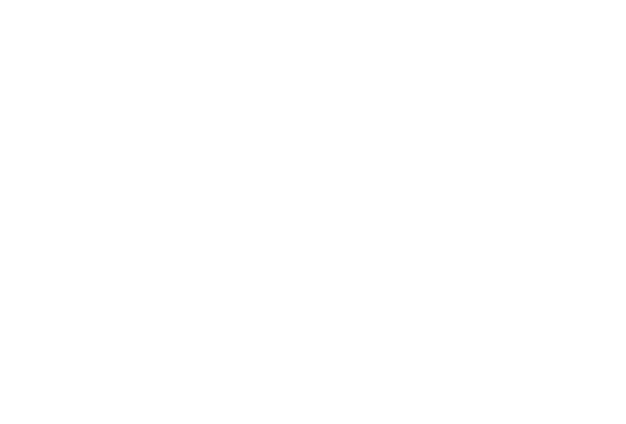 Technology Partners – Blue Marble Analytics