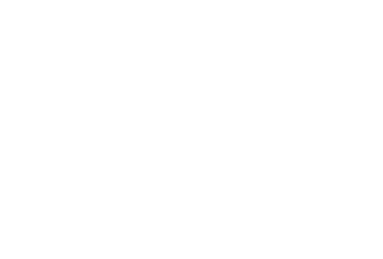 Meet the Team – Blue Marble Analytics